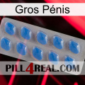 Gros Pénis 22